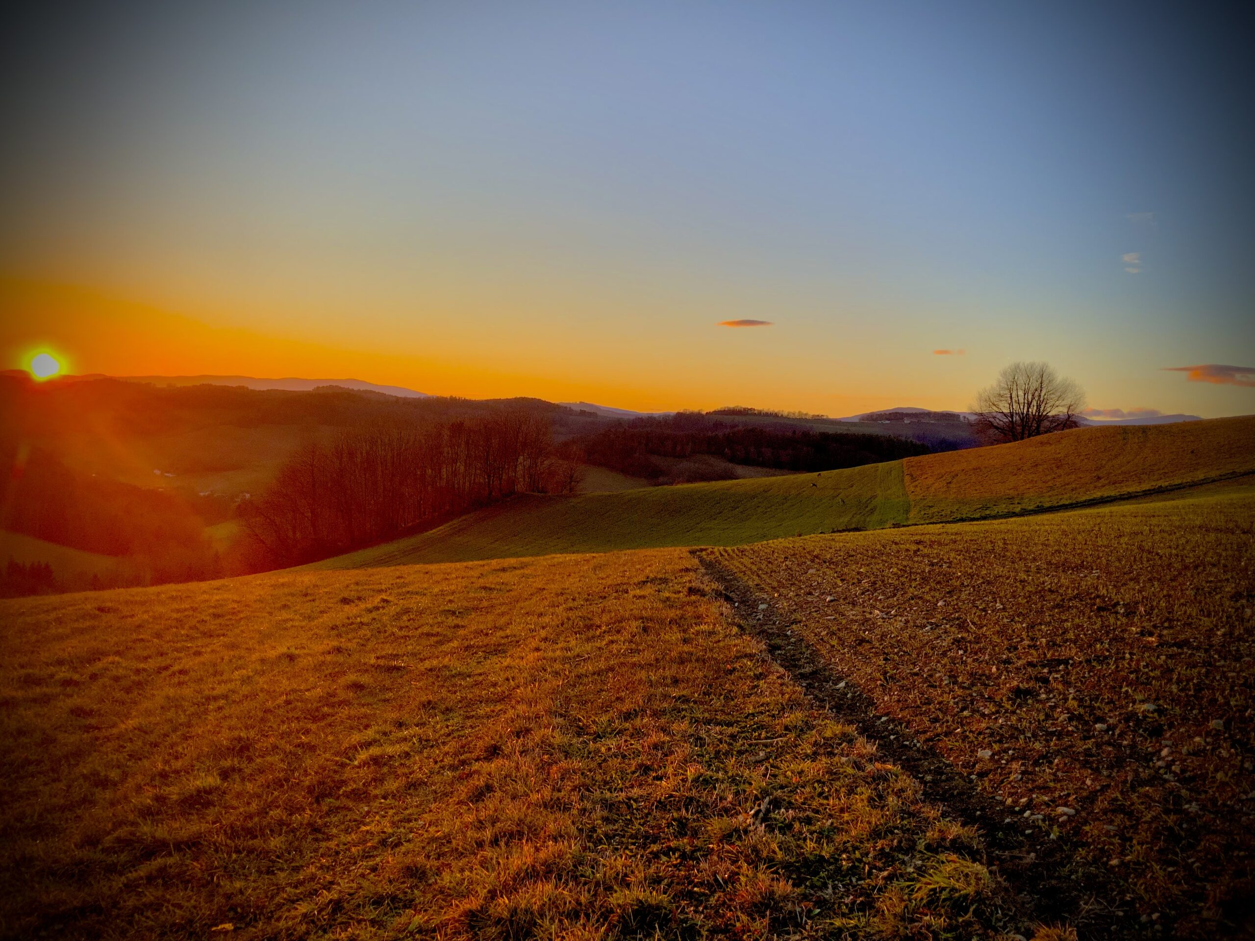 Leben ist eine Abschiedstournee…
